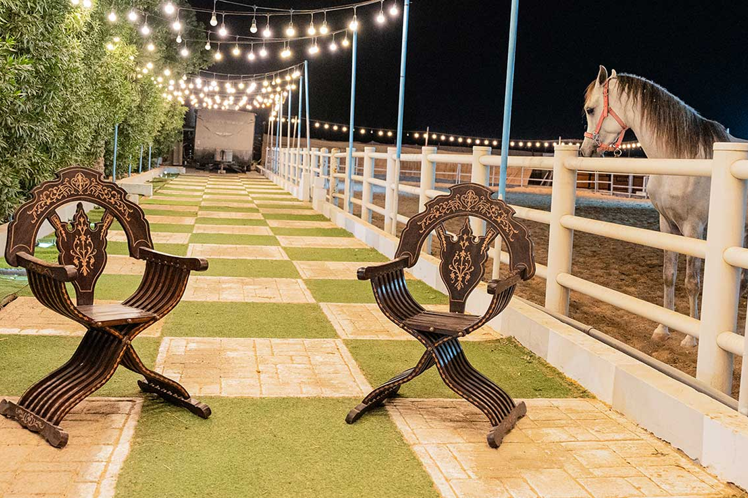 Advertising and Collaborations