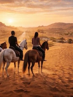 التجربة الاقتصادية